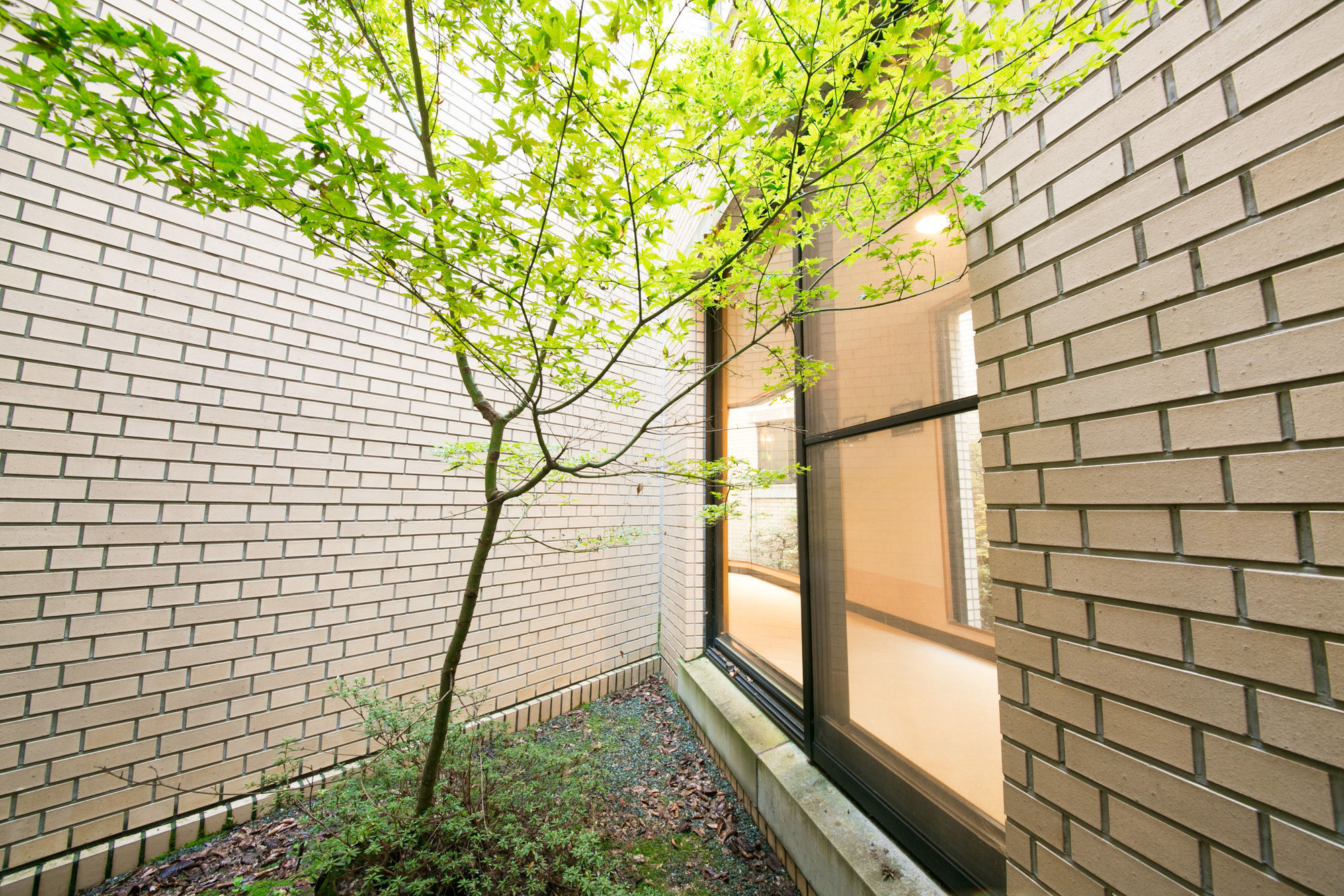 Lake Yamanakako Shuzansou Exterior foto